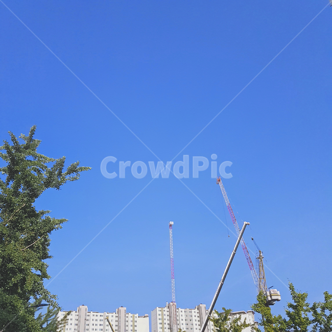 tree,나무,plant,식물,아파트,apartment,하늘,sky,blue,건설업,건축업,construction industry