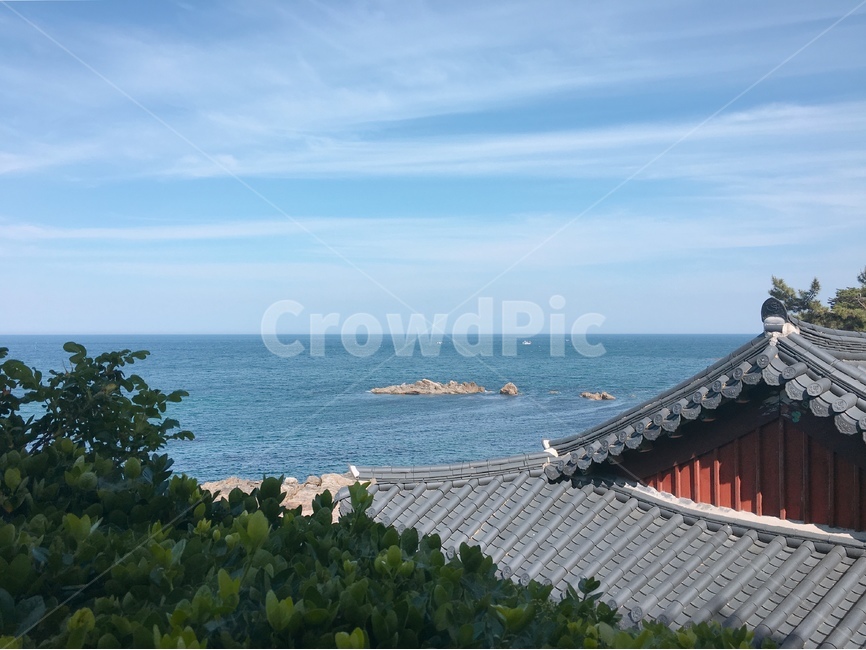 바다,지붕,처마,기와,전통적인,traditional,나무,하늘,해안선,ocean,oceanview,한국전통,한국문화,korean traditional,korean culture