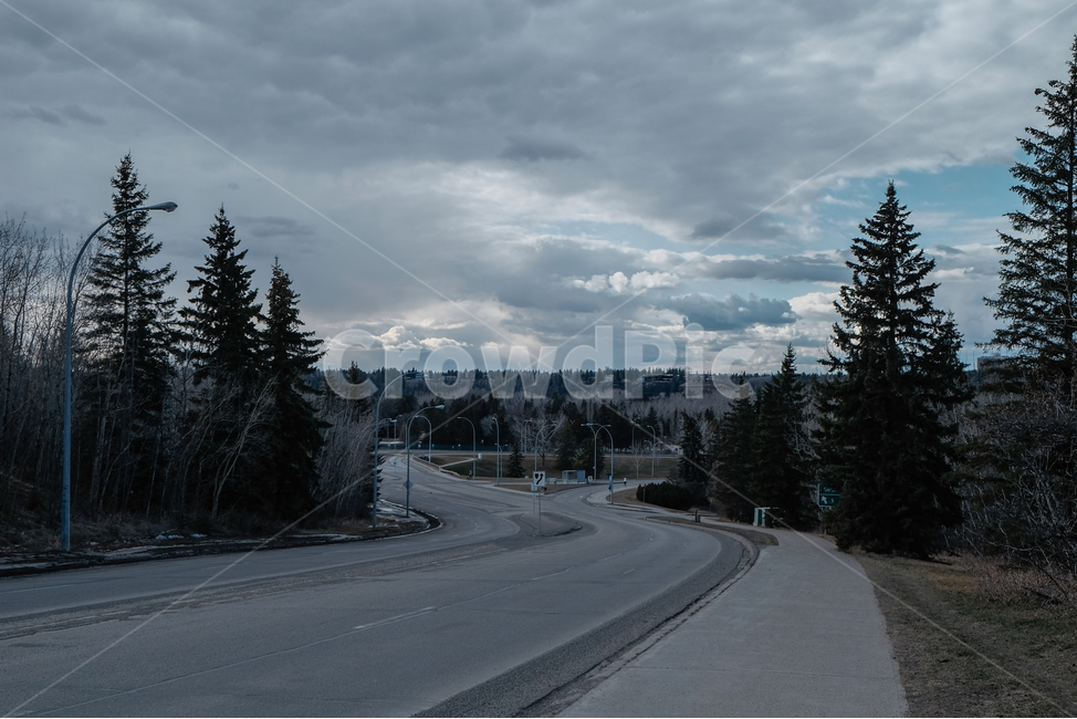 캐나다,canada,에드먼튼,edmonton,알버타,alberta,겨울,쌀쌀,겨울풍경,도로,차도,도시,풍경,city,landscape,해외,외국,세계,foreign,oversea,world,세계도시풍경,해외도시풍경,외국도시풍경,world cityscape,tree,나무,plant,식물,fir,전나무,abies,아비,road
