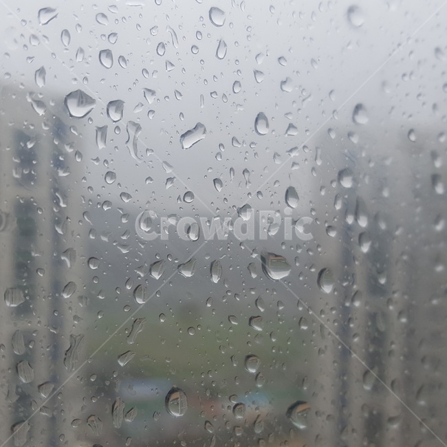 빗방울,비,태풍,rain,window,창문,감성,흐린,아파트,물방울,water