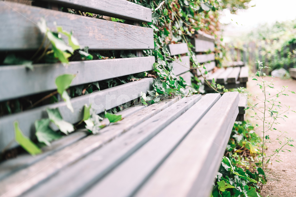밴치,의자,자연,풀,공원,쉼터,식물,자연,plants,nature,감성,sensible,feeling,휴식,힐링,rest,relaxation,healing