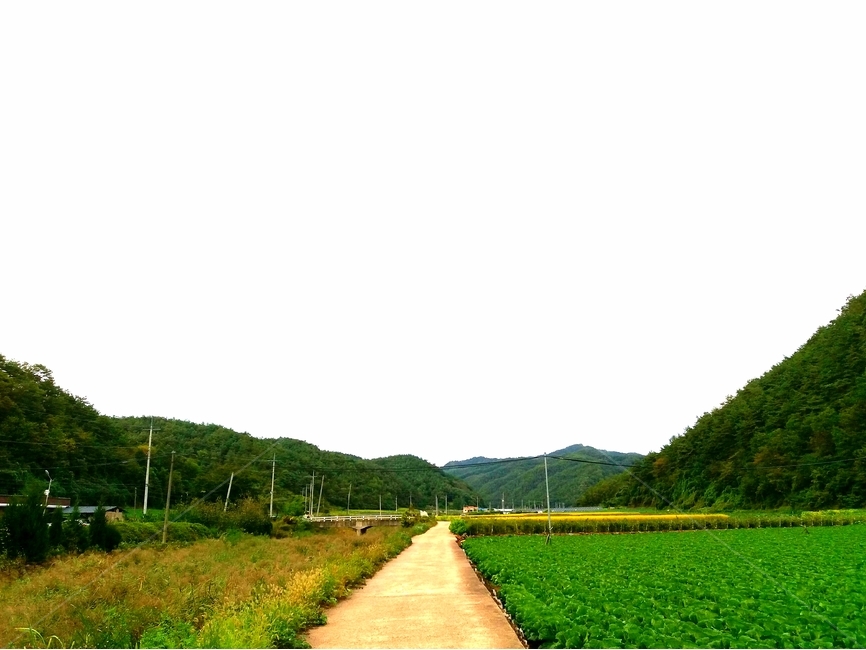 시골길,하늘,밭,산,전봇대