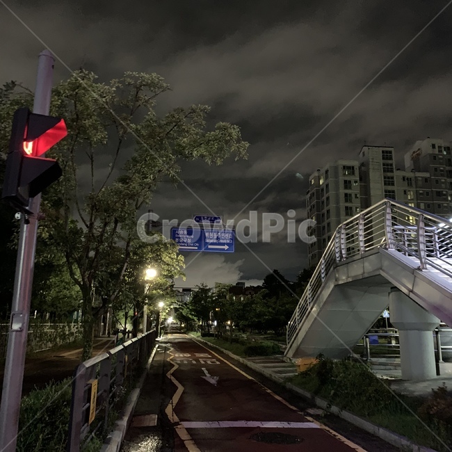 road,도로,night,야경,밤,풍경