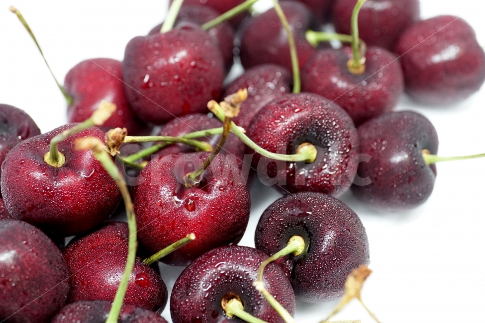 체리,앵두,과일,열매,프루트,후루트,fruit,cherry,음식,사물,물기,물방울,수분,비타민,과실,디저트,desert,food,오브젝트,object,농산물,농작물,식재료,식자재,식품,누끼,누끼사진,신선도,신선하다,신선한,싱싱하다,싱싱한,meal,vegetable,먹거리,먹을거리,먹을거,먹을것,음식,식재료,요리,food,cook,meal,dishes,food reserves,과일,열매,fruit
