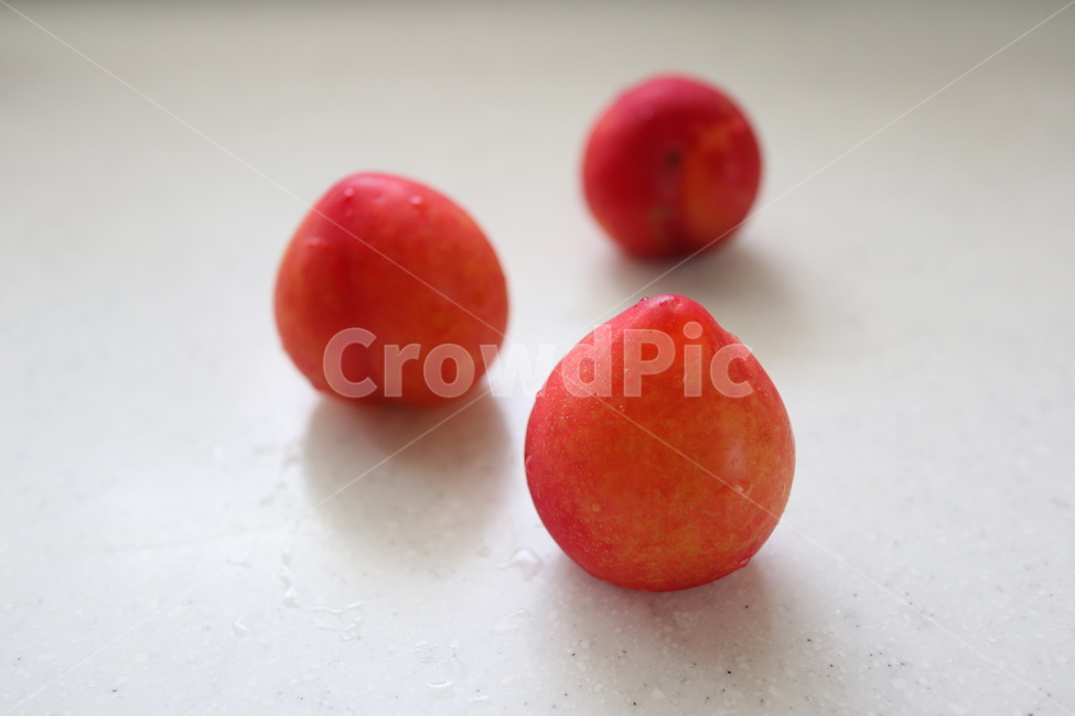 자두,과일,빨간색,비타민,음식,건강,음식,식재료,요리,food,cook,meal,dishes,food reserves,과일,열매,fruit