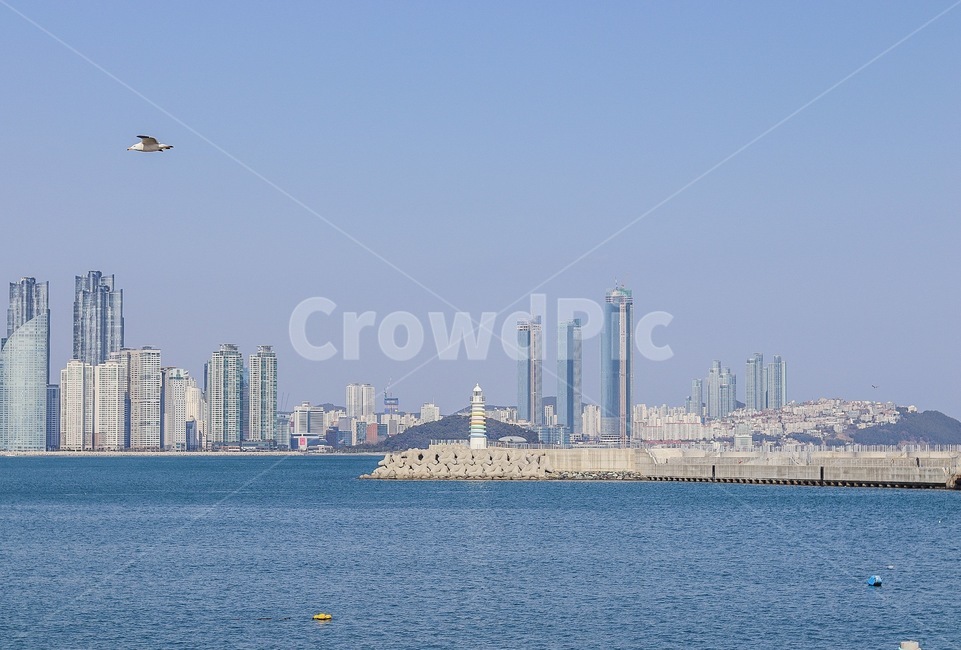 부산,바다,부두,등대,광안리,해운대,갈매기,도시,풍경,city,landscape,한국도시풍경,한국도시경관,korea cityscape,building,건물,metropolis,중심지,시티,town,urban,어반