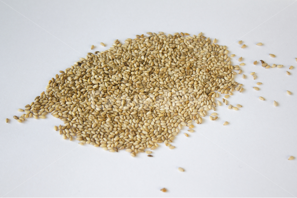 brown,closeup,dry,dummy,food,gold,grain,macro,meal,natural,nature,organic,plant,seed,seeds,sesame,sesameseed,sesameseeds,top,topangle,topview,yellow,깨,참깨,곡식,곡류,음식,음식재료,식재료,식물,씨앗,씨,갈색,브라운,말린,말리는,건조,자연,클로즈업,탑앵글,탑뷰,깨소금,농작물,농촌,농사,흰배경,음식,식재료,요리,food,cook,meal,dishes,food reserves,곡류,곡식,cereals
