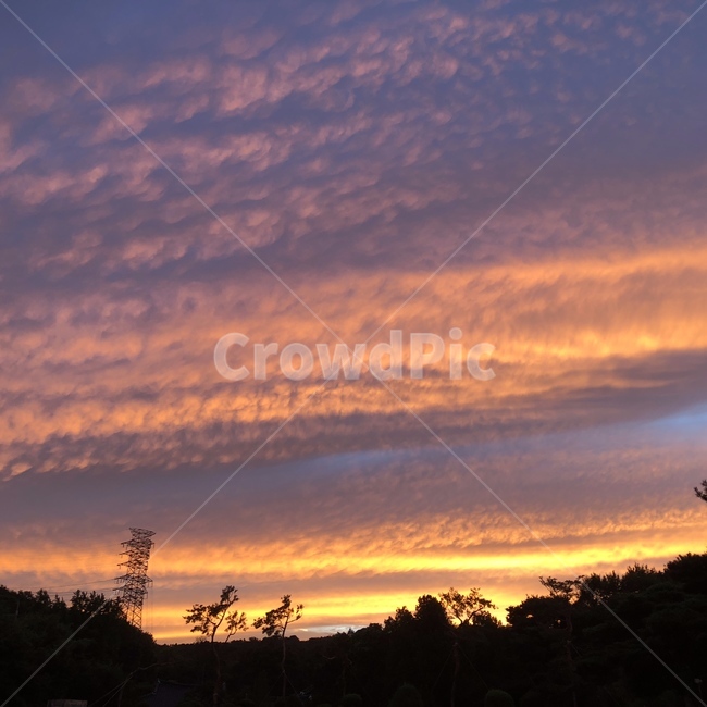 하늘,노을,예쁜하늘,구름,하늘풀경,하늘색,자연,풍경,nature,landscape,outdoors,옥외,sky,dawn,새벽,red sky,붉은 하늘,sunset,일몰,dusk,황혼