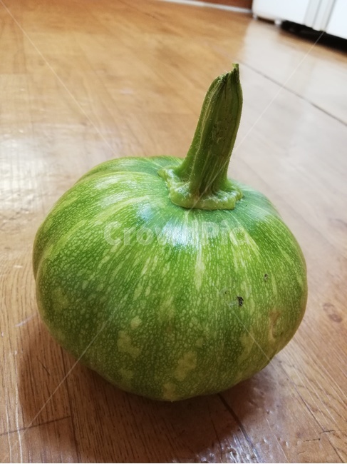 호박,초록,농사,식물,야채,채소,야채,vegetables