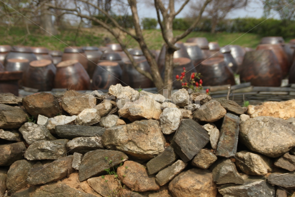 항아리,옹기,장독,시골,풍경,pot
