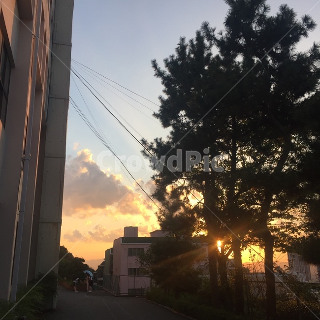 구름,노을,학교,저녁,분위기