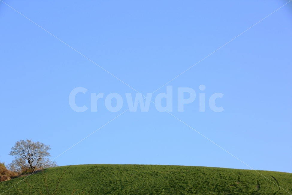 풍경,자연,이미지,웹,사진,포토,하늘,sky,초원,언덕,그린,자연,풍경,nature,landscape,outdoors,옥외,grassland,목초지,field,들