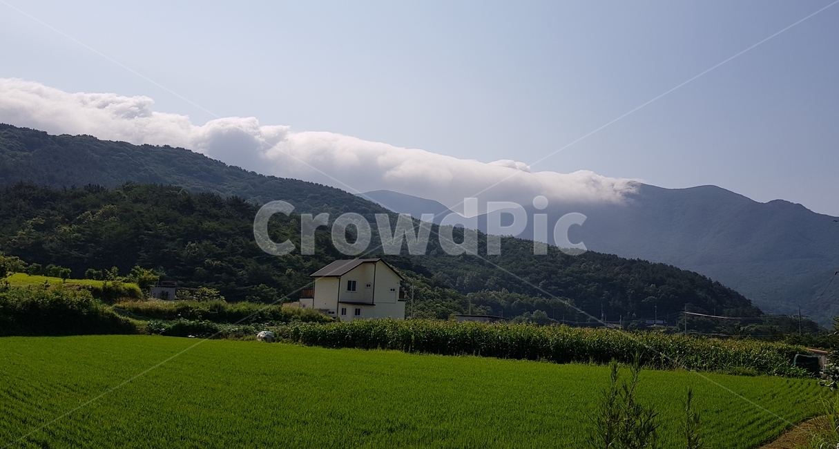 nature,자연,구름,countryside,목초지,들,자연,풍경,nature,landscape,outdoors,옥외,grassland,field