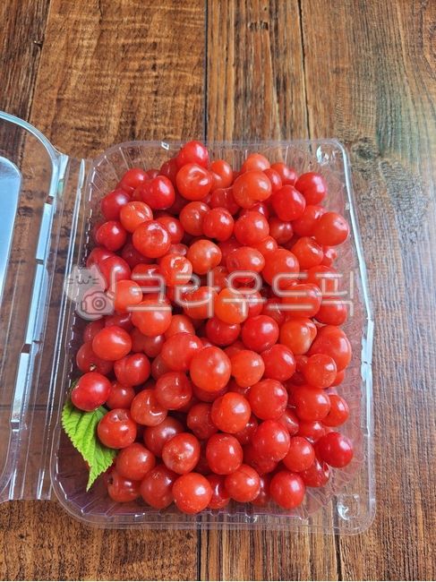 과일,fruit,앵두,앵두수확,여름과일,빨간열매