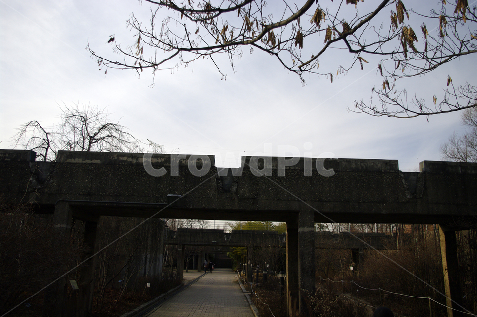 겨울,나무,공원,식물,plant,길,건축물,건물외관,exterior,building,structure,architecture,construction