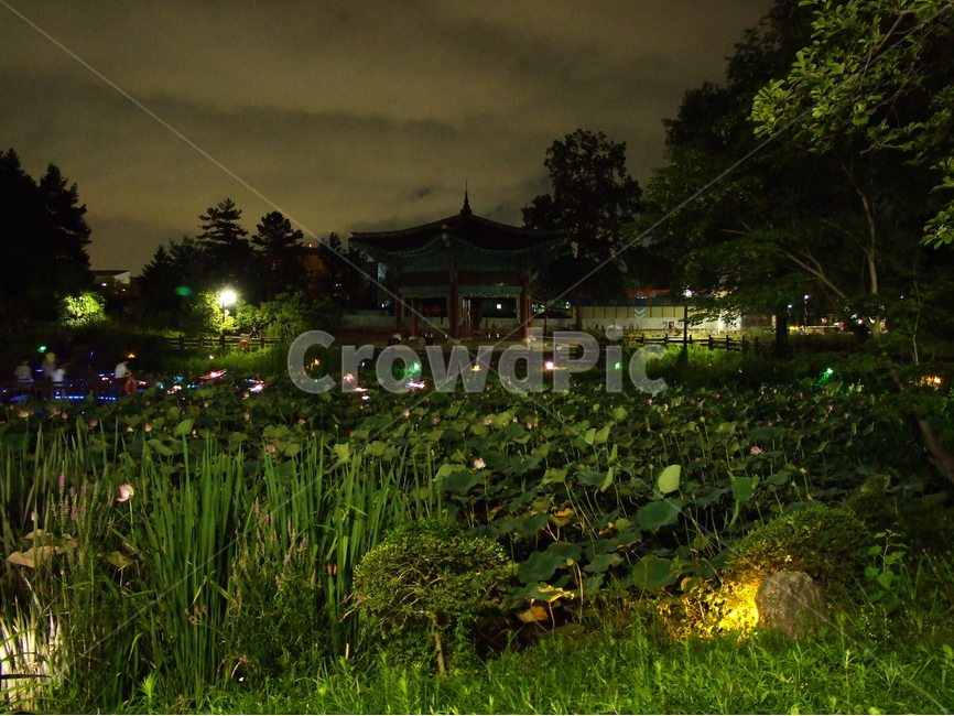 풍경사진,공원,야간사진,조명,정자,자연,풍경,nature,landscape,한국자연풍경,한국자연경관,korea nature landscape,야경,밤,nightscape,night