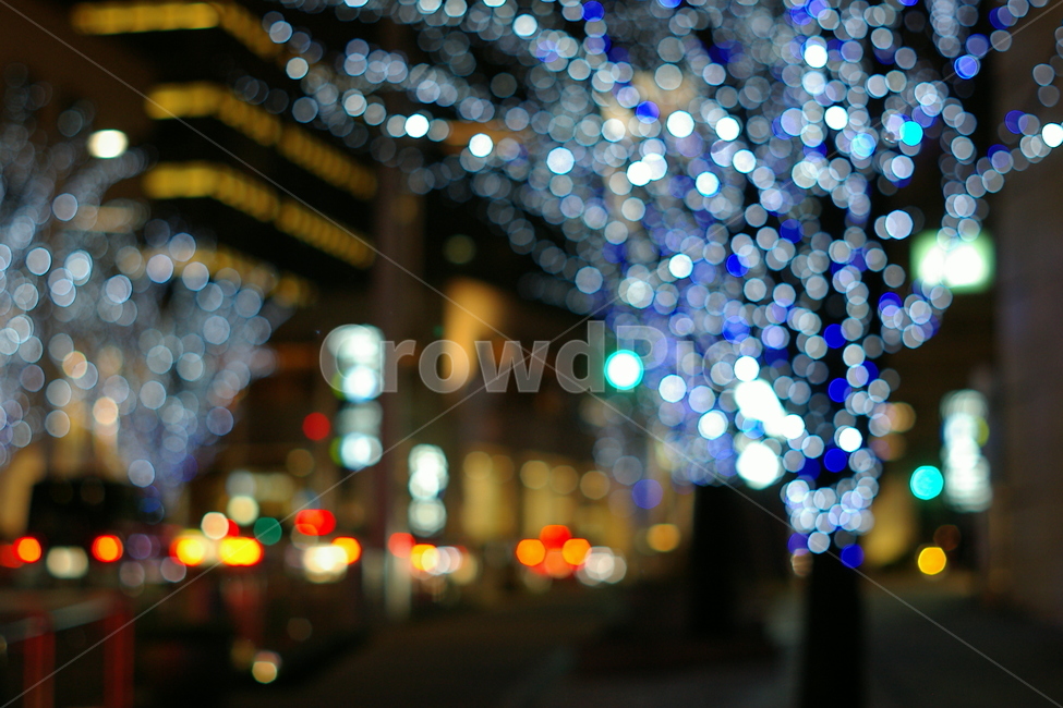 보케,boke,전구,전등,크리스마스,christmas,밤,night,나무,거리,겨울,winter,road,town,도시,city,야경,밤,풍경,nightscape,night,landscape,lighting,조명