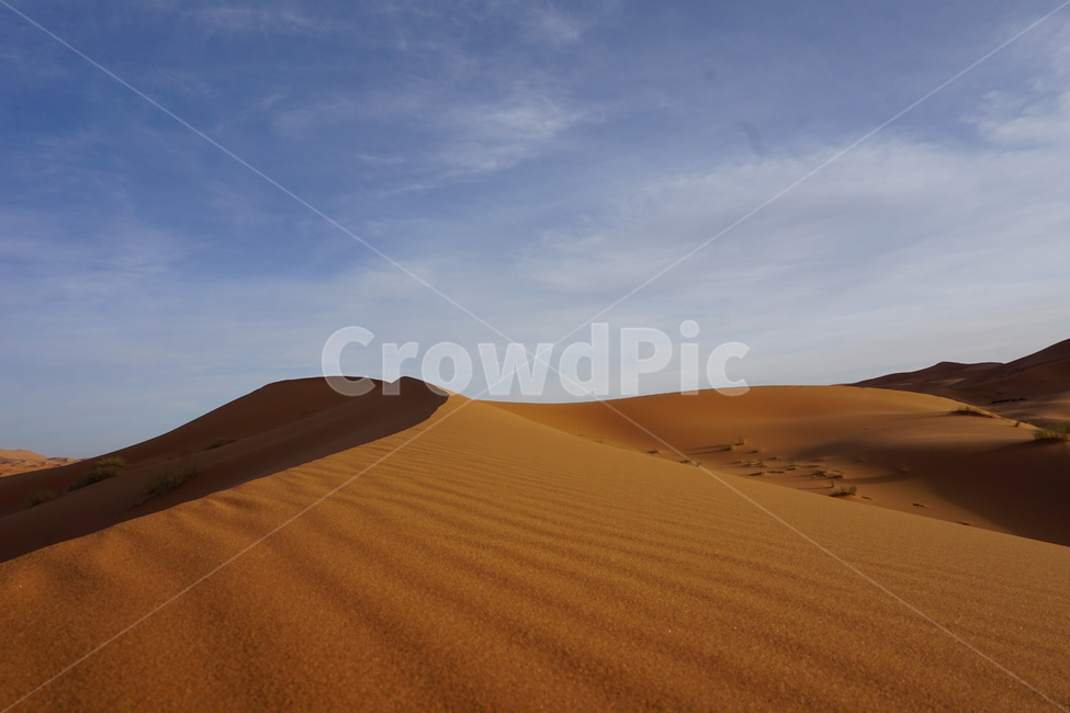 사하라,사하라사막,모래언덕,사막,모래,모로코,자연,nature,dune,sand,흙,soil,outdoors,붉은모래,sahara,desert,자연,풍경,nature,landscape,해외,외국,세계,foreign,oversea,world,세계자연풍경,해외자연풍경,외국자연풍경,world nature landscape