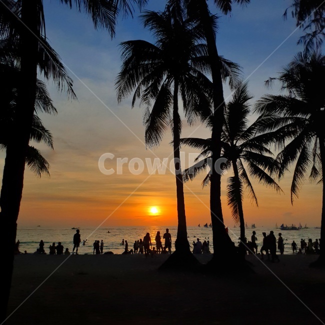sunset,dusk,황혼,노을,일몰,redsky,붉은노을,보라카이선셋,boracaysunset,바다,물결,ocean,여유,낭만,orange,구름,cloud,야자수,palmtree