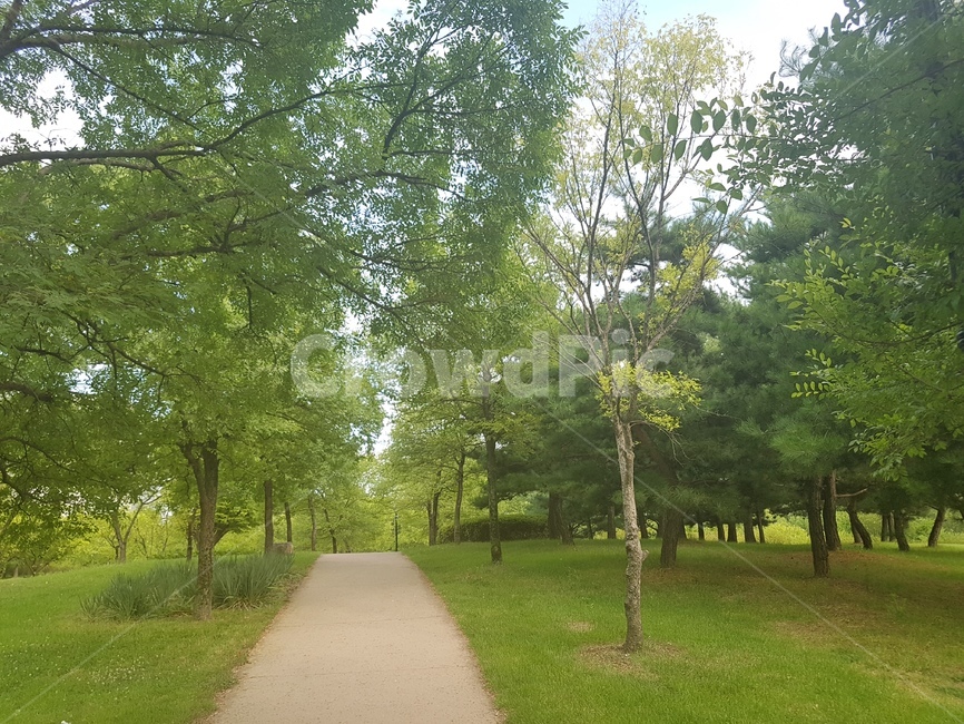산책로,자연,경주,공원,경관