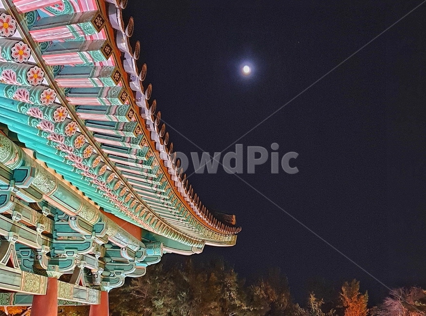 건물,한옥,처마,달,temple,야경,절,한국전통,한국문화,korean traditional,korean culture