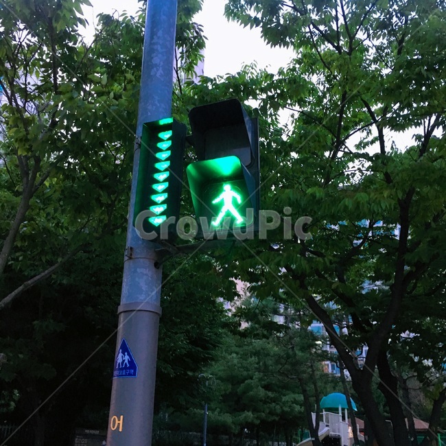 신호등,그린,건널목,crosswalk,light,trafficlight,빛
