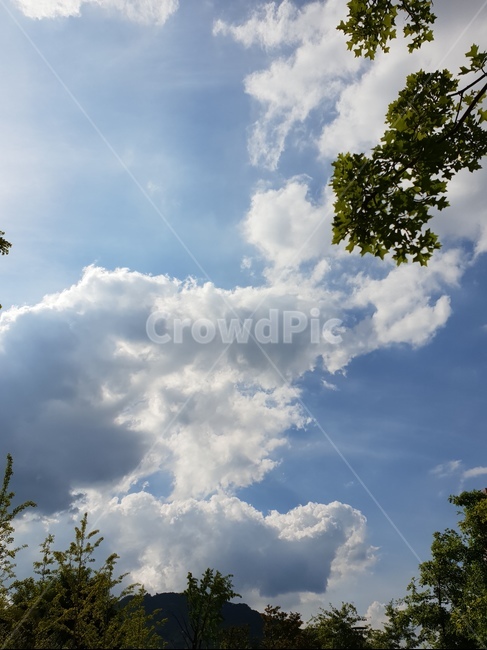 구름,회색,빛,해,풍경,여름,나무,자연,풍경,nature,landscape,outdoors,옥외,weather,날씨,cloud,cumulus,적운,sky,하늘