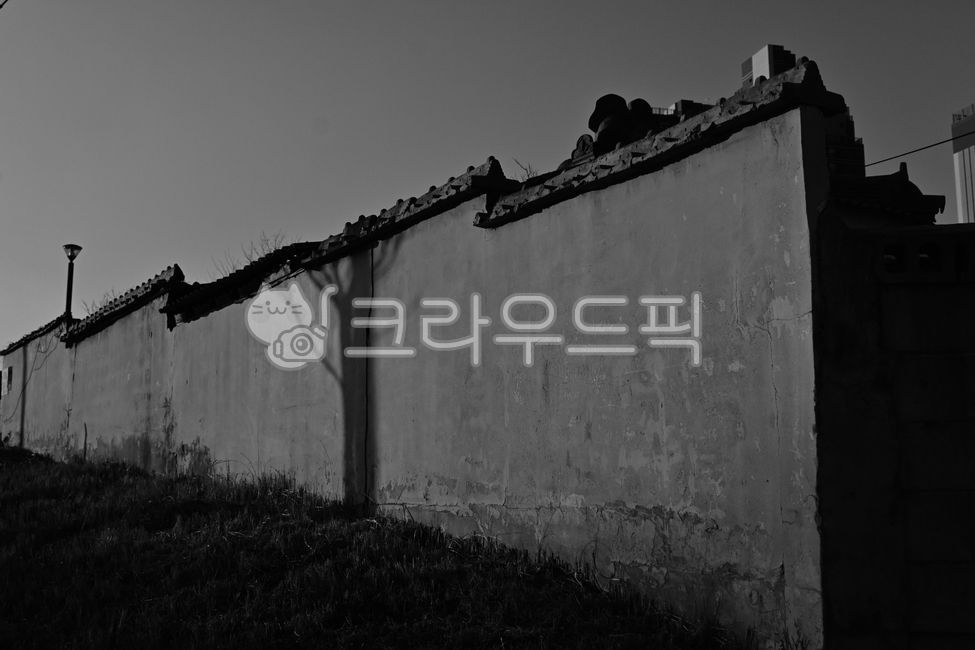 벽, 건물, 흑백, 그림자, 나무, 사진,이미지,일러스트,캘리그라피 - 밥먹고힘내자작가