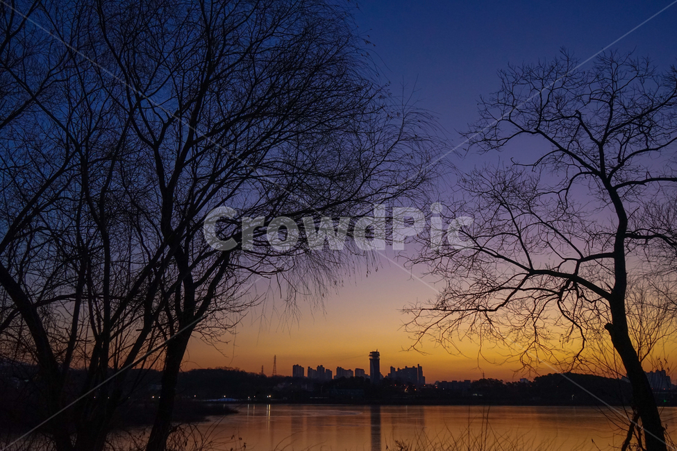 겨울,호수,여명,새벽,나무,풍경,nature,자연,silhouette,실루엣,outdoors,옥외