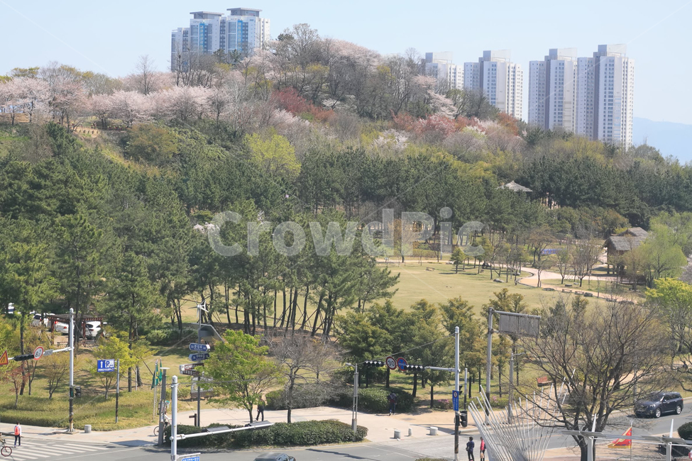 강변공원,봄경치,풍경,김해시,수로왕릉역
