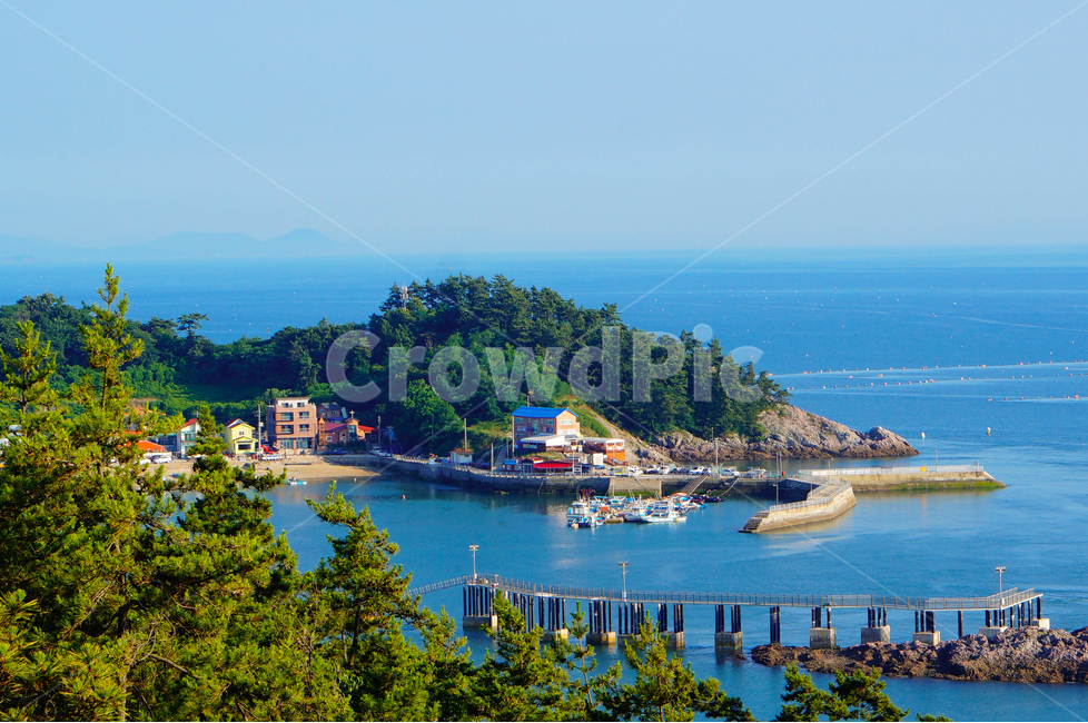 장자도,섬,풍경,바다,집,다리,시골,마을,풍경,landscape,country,rural,town