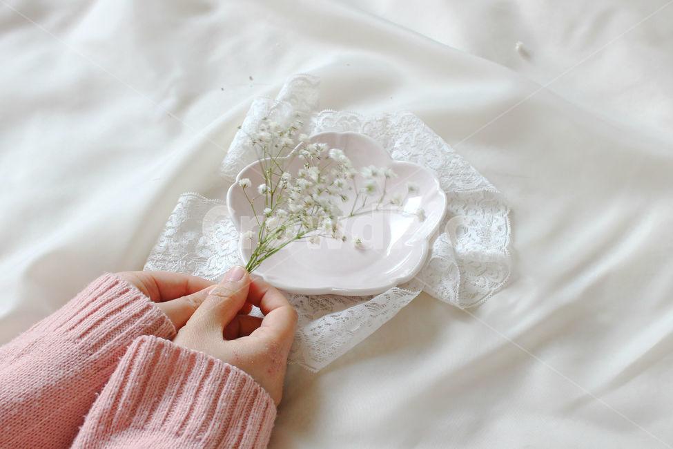 손,꽃,안개꽃,분홍,감성사진,그릇,분홍색,하얀색,pink,white,flower,flowers,레이스,접시,hand,꽃,flower,사람,인물,인간,human,person,신체일부,몸,body,연출,컨셉,콘셉,direction,concept
