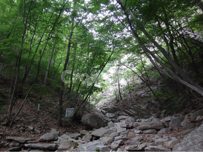나무,돌,길,등산로,자연,자연,풍경,nature,landscape,rubble,파편,slate,슬레이트