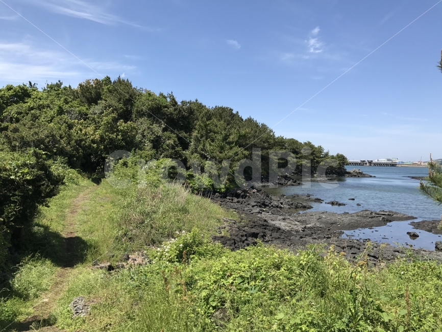 자연,감성,제주,풍경,원본,무보정,자연,풍경,nature,landscape,제주도,jeju,jeju island,outdoors,옥외,land,땅,water,물,shoreline,해안선,vegetation,초목,plant,식물