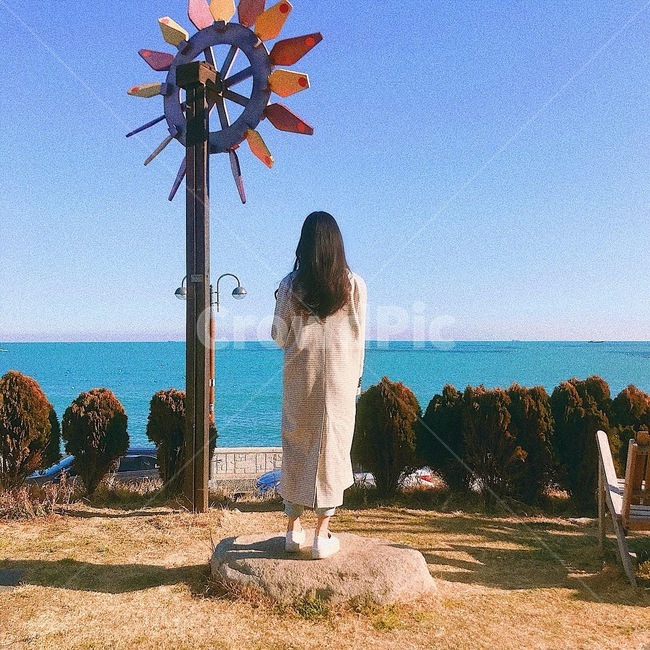 사람,인간,여자,뒷모습,배경,해안,바다,자연,돌,나무,그림자,바람개비,person,사람,인물,인간,human,person,여성,여자,woman,female,lady