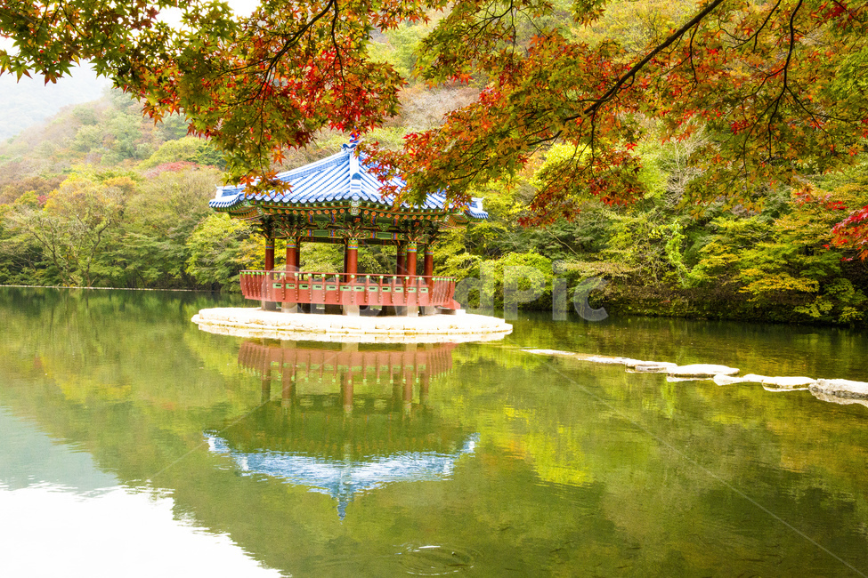 자연,풍경,경관,경치,정자,기와집,우화정,연못,계절,가을,단풍철,울긋불긋,단풍,단풍잎,식물,나무,단풍나무,물,물그림자,반영,기와,청기와,내장사,내장산,공원,국립공원,산,가을,계절,fall,autumn,season,자연,풍경,nature,landscape,한국자연풍경,한국자연경관,korea nature landscape