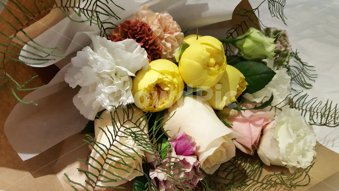꽃,flower,plant,부케,꽃꽂이