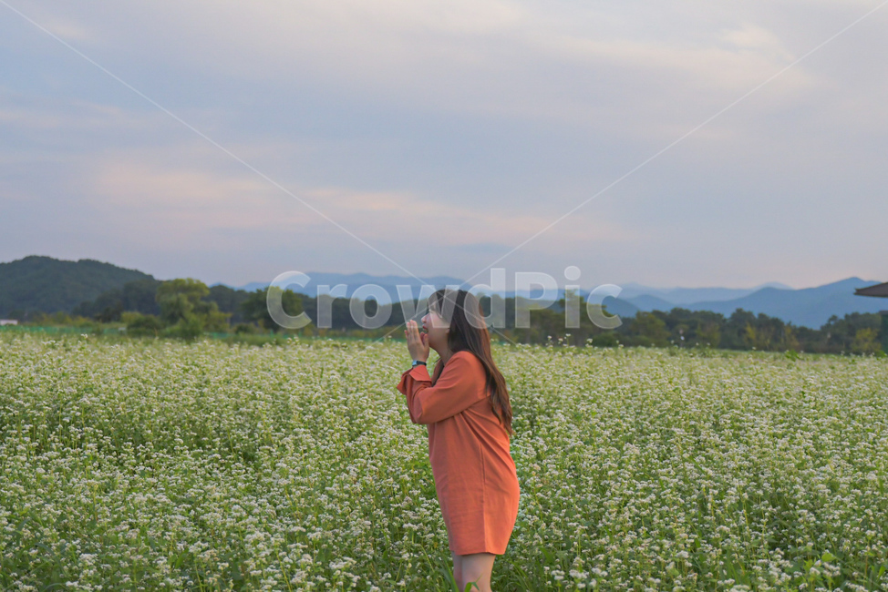 메밀꽃,메밀밭,경주,여자,웃는모습,사람,인간,들판,풍경,하늘,자연,노을,해질녘,가을,autumn,field,buckwheat,woman,human,person,sky,nature,trip,smile,sunset,여성,여자,woman,female,lady,여행,휴가,traveling,vacation,trip