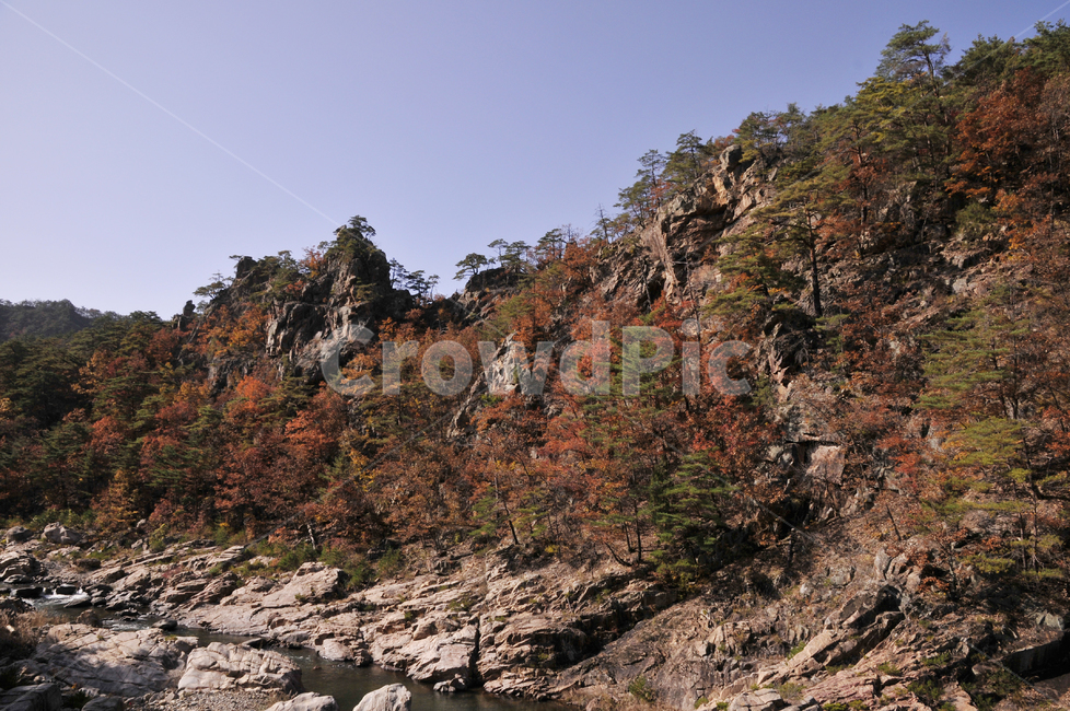 불영사,불영사계곡,가을,단풍,자연,nature,mountain,산,가을불영사,가을불영사계곡