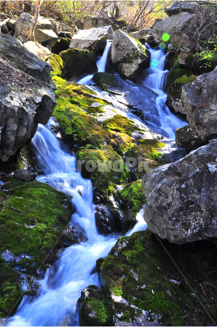 폭포,계곡,이끼,힐링,물,명산,시원함,cool,valley,healing,water,summer,휴식,쉼,맑은,흐르다,flow,mountain,waterfall,landscape,nature,자연풍경,자연,풍경,계절,시즌,rest,한국자연풍경,여름,자연,풍경,nature,landscape,outdoors,옥외,river,강