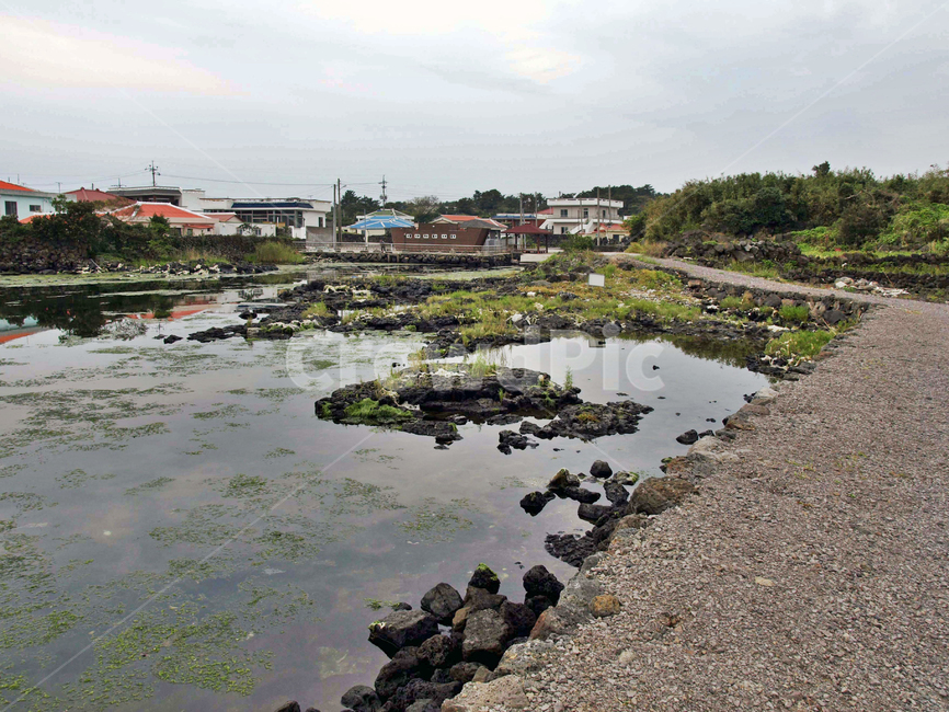 내수면둑방길,내수면,제주,올레2코스,서귀포시,둑,슾지,마을,자연,풍경,nature,landscape,시골,마을,country,rural,town