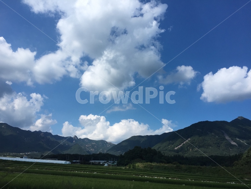 nature,자연,weather,cumulus,적운,sky,하늘,cloud,구름,field,들,자연,풍경,nature,landscape,outdoors,옥외,날씨,grassland,목초지