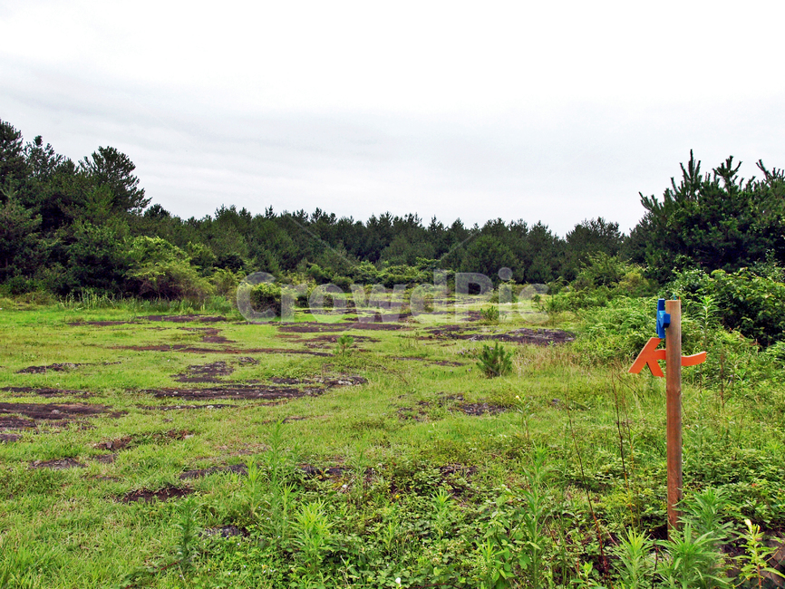 벌러진동산,용암,화산석,제주,올레19코스,올레길,곶자왈,화살표,자연,풍경,nature,landscape,outdoors,옥외,field,들