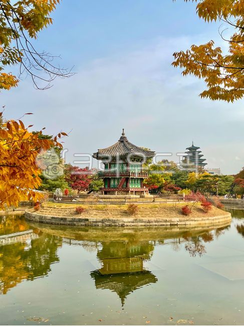 blue sky,hyangwonjeongpavillon,yellow,Hyangwonjeong,Reservoir,autumnleaves,building,fall,Gyeongbokgung Palace Hyangwonjeong Autumn,Gyeongbokgung Palace Hyangwonjeong,autumn leaves,architecture,Maple,sky,Hyangwonjeong Wallpaper,wallpaper,nature,Hyangwonjeo