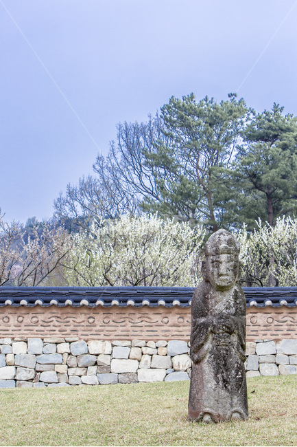 장승,돌조각,지킴이,이끼,돌담,문양,봄,돌담길,봄,계절,spring,season,한국전통,한국문화,korean traditional,korean culture,조각상,동상,석상,조형물,statue,bronze statue,stone statue,tree,나무,plant,식물