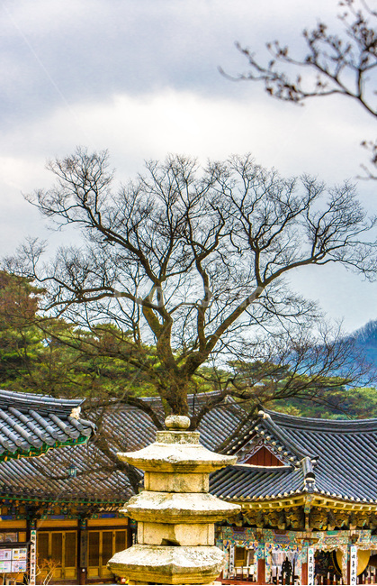 석탑,기와,선,사찰,전통,문화유산,한국전통,한국문화,korean traditional,korean culture,조각상,동상,석상,조형물,statue,bronze statue,stone statue,종교,신앙,religion,belief,faith,건축물,건물외관,exterior,building,structure,architecture,construction