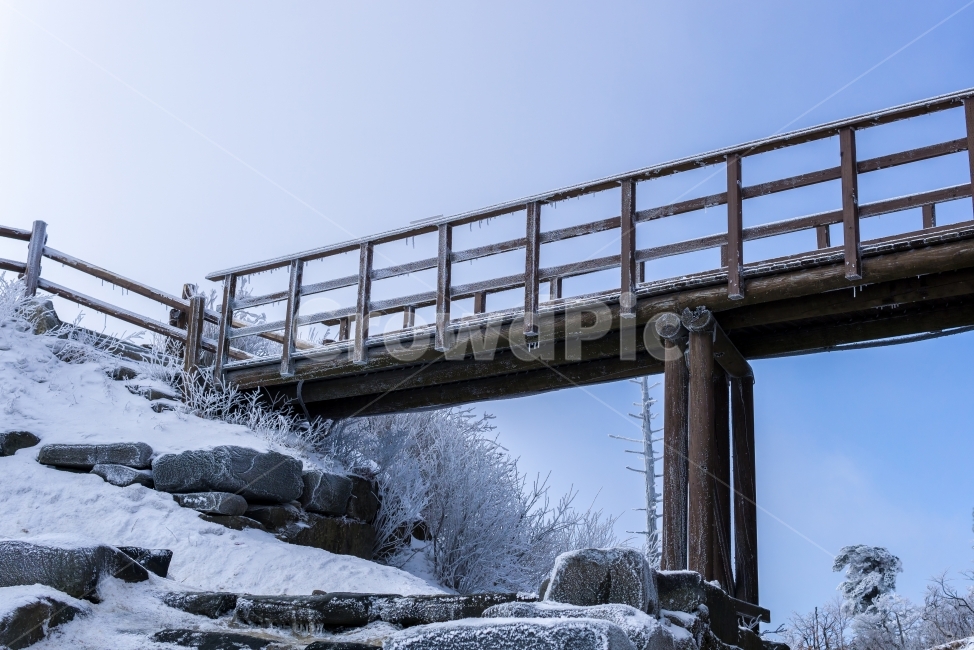 겨울풍경,풍경,자연,눈,눈꽃,겨울,감성,다리,snow,winter,nature,landscape,mountain,tree,겨울,계절,winter,season,건축물,건물외관,exterior,building,structure,architecture,construction
