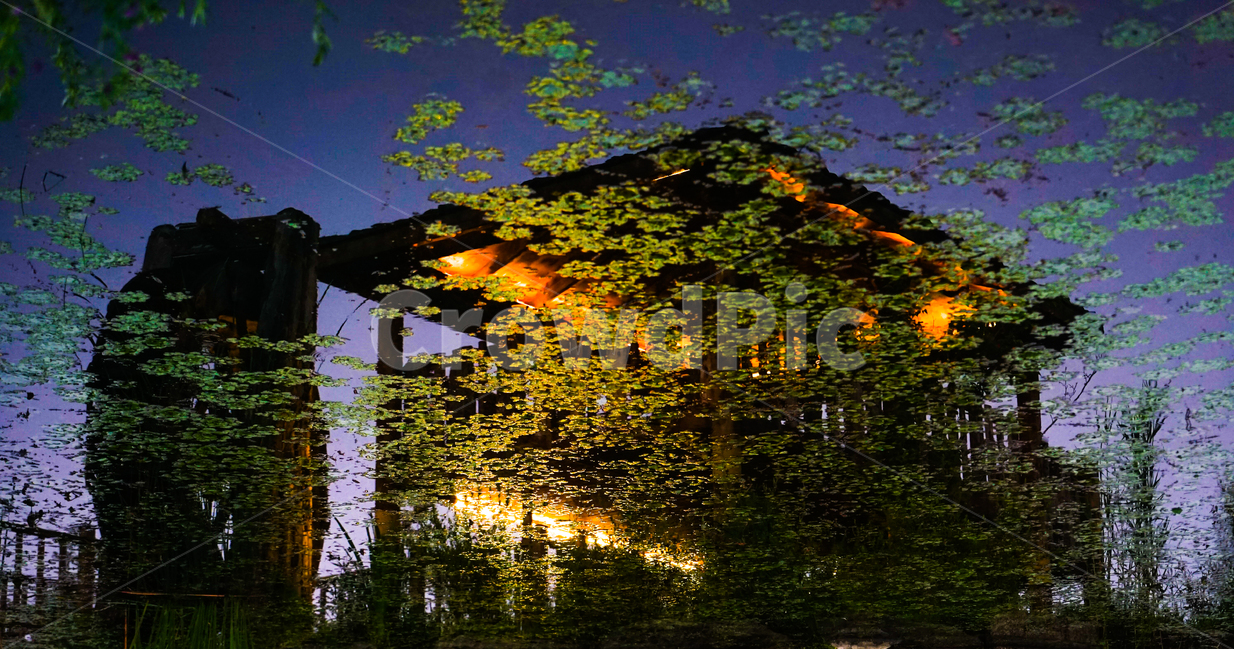 정자,공원,물레방아,반영,투영,호수공원,조명,자연,풍경,자연,풍경,nature,landscape,한국자연풍경,한국자연경관,korea nature landscape,야경,밤,nightscape,night