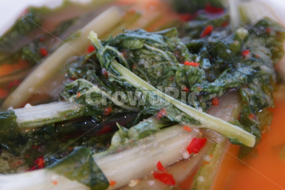 열무김치,물김치,김치,반찬,음식,백김치,한식,식사,식재료,채소,야채,요리,koreanfood,food,cook,meal,dishes,vegetables,koreanfood,koreandishes,koreanmeal,koreancook,음식,식재료,요리,food,cook,meal,dishes,food reserves,한식,한국음식,한국요리,korean food,korean dishes,korean meal,korean cook