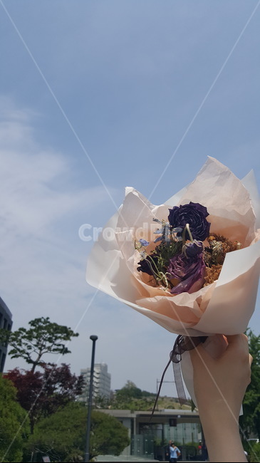 서울하늘,구름,맑음,꽃다발,서울